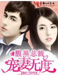 腹黑總裁寵妻無度