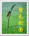 異界之極品山賊