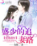 盛少的追妻路：愛我就好